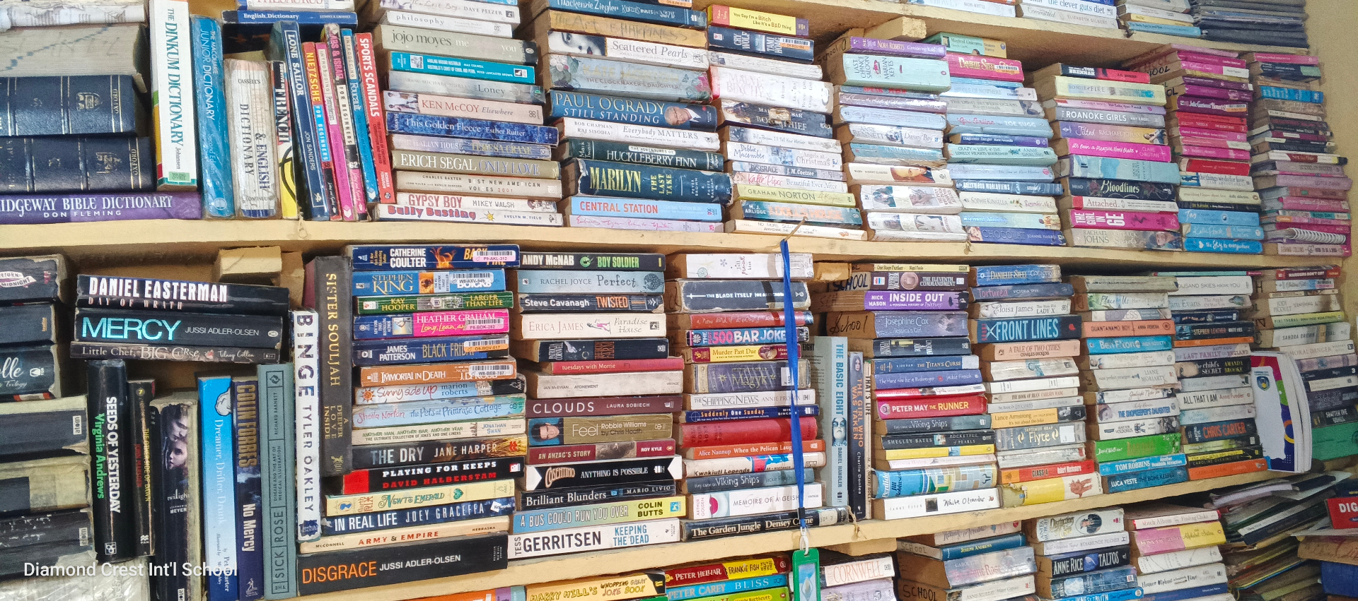 Diamond Crest library shelves filled with books to support reading culture